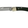 Buck 110 Folding Hunter Ebony Navaja